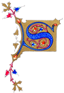 Illuminated letter S